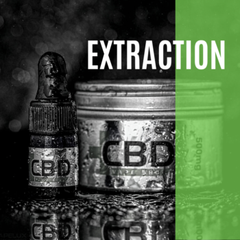 La science derrière le processus d&rsquo;extraction du CBD. Processus d&rsquo;extraction du chanvre